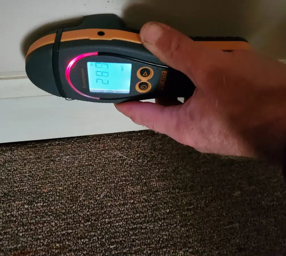 Moisture detection at baseboard during Mold Inspection & Testing in Gallatin